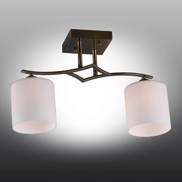 Потолочная люстра Omnilux Pisticci OML-55317-02 Фото № 4