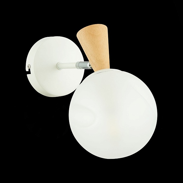 Настенный светильник Evoluce Catania SLE220701-01 Фото № 3