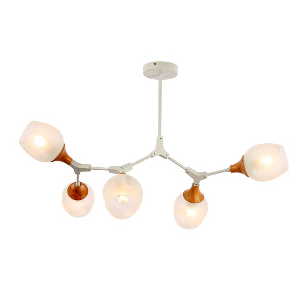 Потолочная люстра Evoluce Ciotolla SLE113502-05 изображение 3 Потолочная люстра Evoluce Ciotolla SLE113502-05 Фото № 3