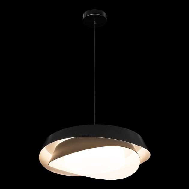 Подвесная люстра Loft IT Petale 10256P Black изображение 9 Подвесная люстра Loft IT Petale 10256P Black Фото № 9
