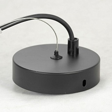 Подвесной светильник Lussole Loft Bullock LSP-8407 2