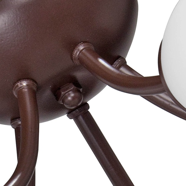 Потолочная люстра Vitaluce V3404/5PL изображение 2 Потолочная люстра Vitaluce V3404/5PL Фото № 2