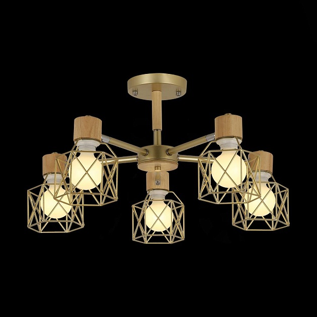 Потолочная люстра Evoluce Stelitto SLE110402-05 Фото № 2