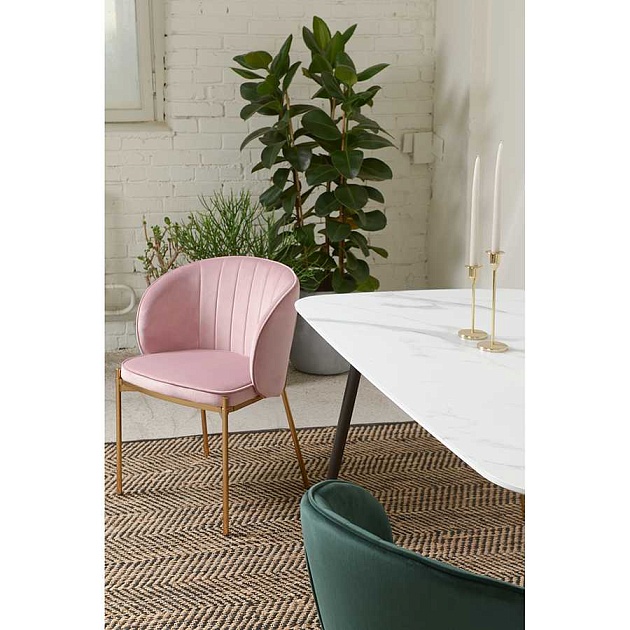 Кухонный стул Bergenson Bjorn Coral BEAR-CO10815 Фото № 15