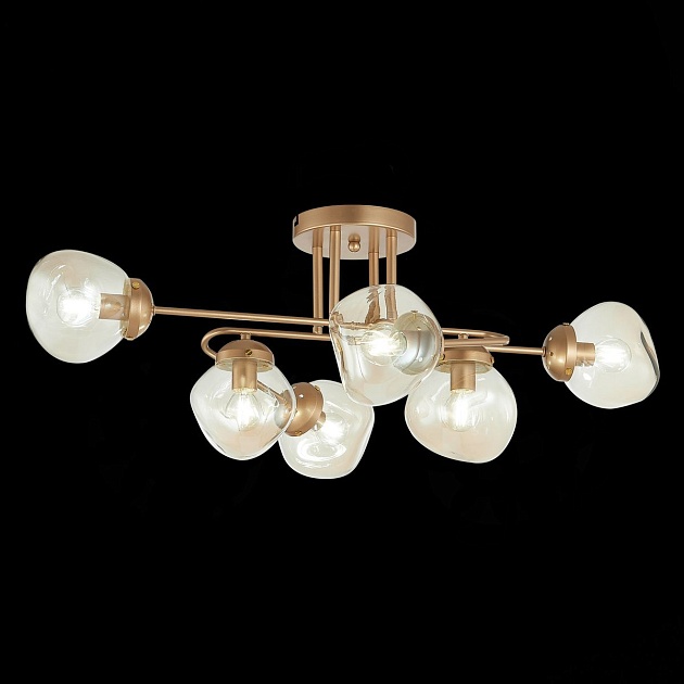 Потолочная люстра Evoluce More SLE155702-06 изображение 2 Потолочная люстра Evoluce More SLE155702-06 Фото № 2