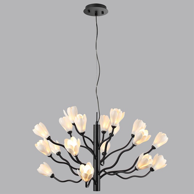 Подвесная люстра Odeon Light Modern Gardi 5090/18 изображение 5 Подвесная люстра Odeon Light Modern Gardi 5090/18 Фото № 5