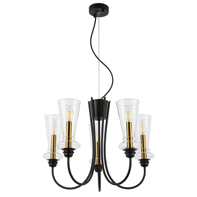 Подвесная люстра Evoluce Rammo SLE112403-05 изображение 1 Подвесная люстра Evoluce Rammo SLE112403-05 Фото № 1