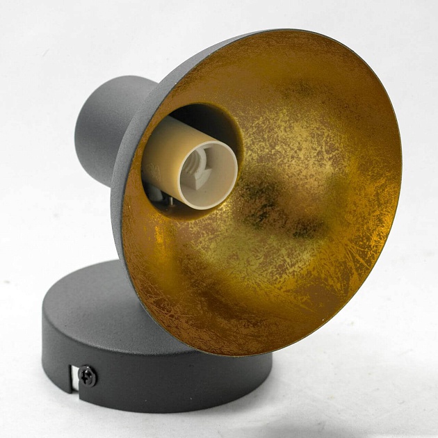 Спот Lussole Loft LSP-9973 изображение 3 Спот Lussole Loft LSP-9973 Фото № 3