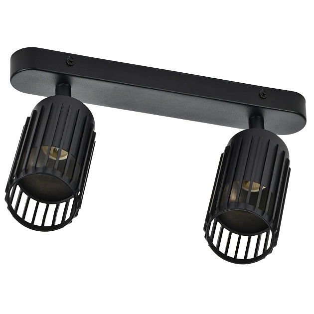 Спот IEK LT-USB0-4208-GU10-2-K02 Фото № 1