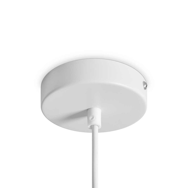 Подвесной светильник Freya Modern FR5530PL-L10W Фото № 2