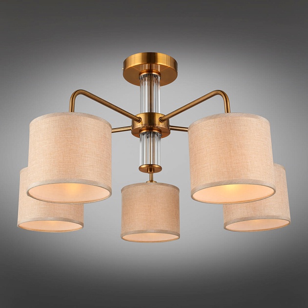 Потолочная люстра Omnilux Barumini OML-56907-05 Фото № 8