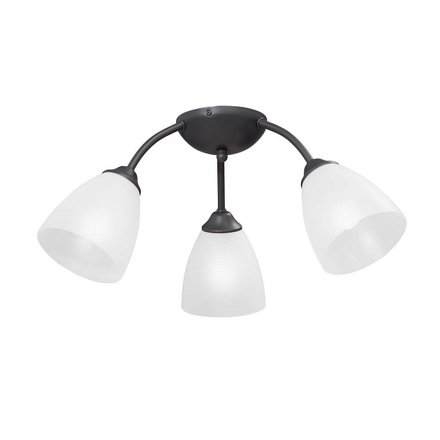 Потолочная люстра Vitaluce V3737-2/3PL Фото № 1