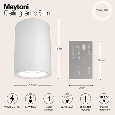 Потолочный светильник Maytoni Alfa C012CL-01W 1