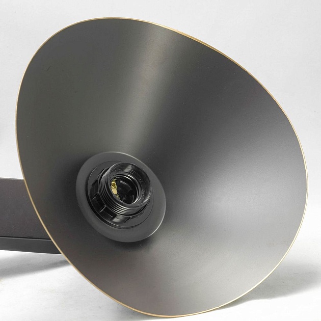 Потолочная люстра Lussole Loft Opelika GRLSP-9535 Фото № 3