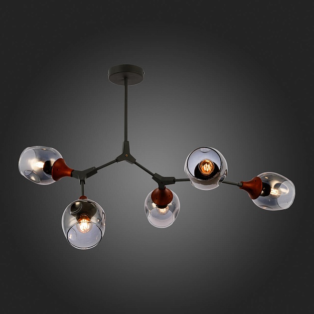 Потолочная люстра Evoluce Ciotolla SLE113402-05 Фото № 3