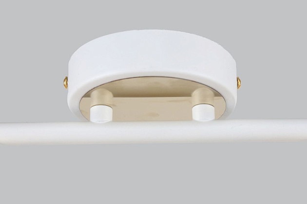 Спот Escada 1137/2A изображение 3 Спот Escada 1137/2A Фото № 3