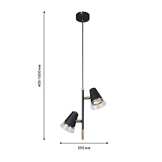 Подвесная люстра F-Promo Trandy 4618-2P 1
