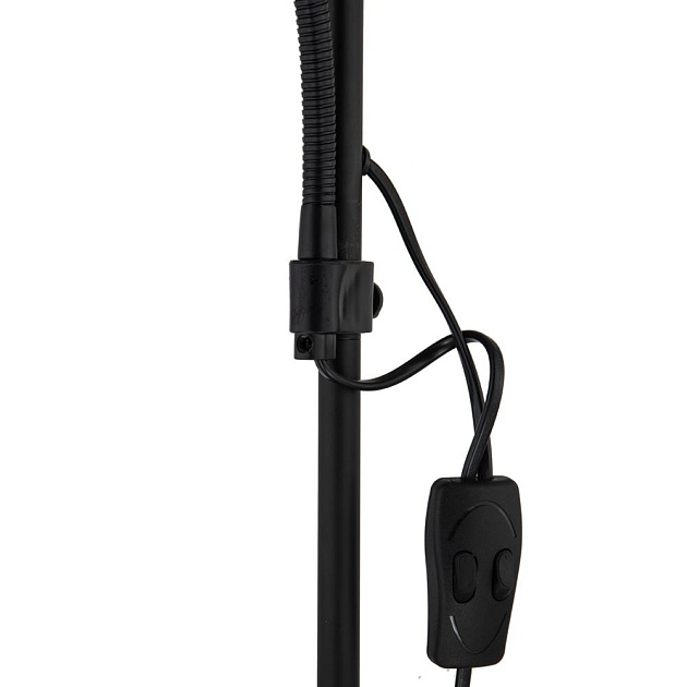 Торшер Arte Lamp Duetto A9569PN-2BK изображение 3 Торшер Arte Lamp Duetto A9569PN-2BK Фото № 3
