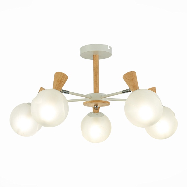 Потолочная люстра Evoluce Catania SLE220702-05 изображение 1 Потолочная люстра Evoluce Catania SLE220702-05 Фото № 1