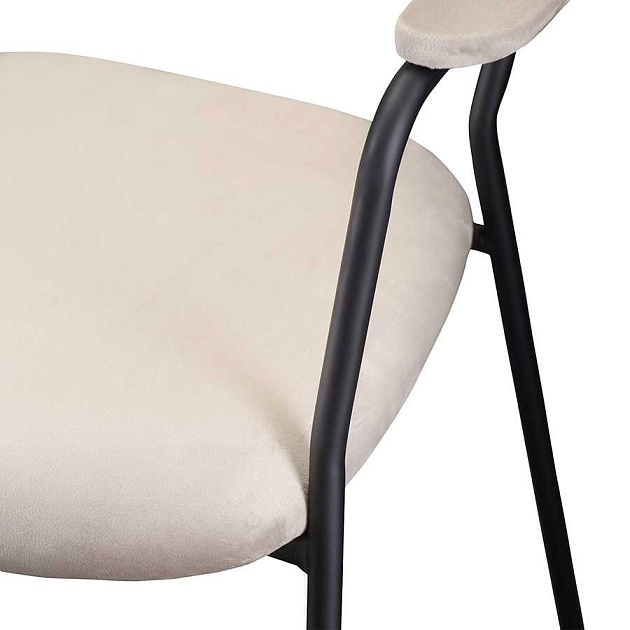 Кухонный стул Bergenson Bjorn Eirill FH-ERL-ARMCH-PL-TP изображение 5 Кухонный стул Bergenson Bjorn Eirill FH-ERL-ARMCH-PL-TP Фото № 5