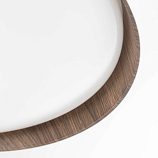 Светильник потолочный Citilux BONNY CL754350G 1