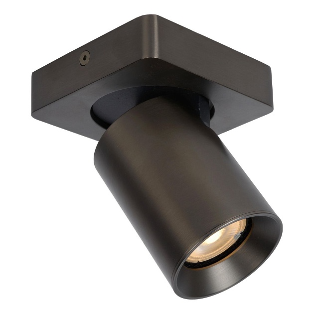 Спот Lucide Nigel 09929/05/16 изображение 4 Спот Lucide Nigel 09929/05/16 Фото № 4