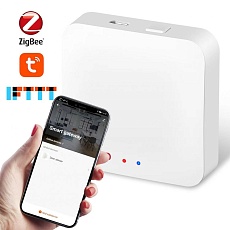 Проводной шлюз ДУ iLedex Technical Vision ZGB 2 1