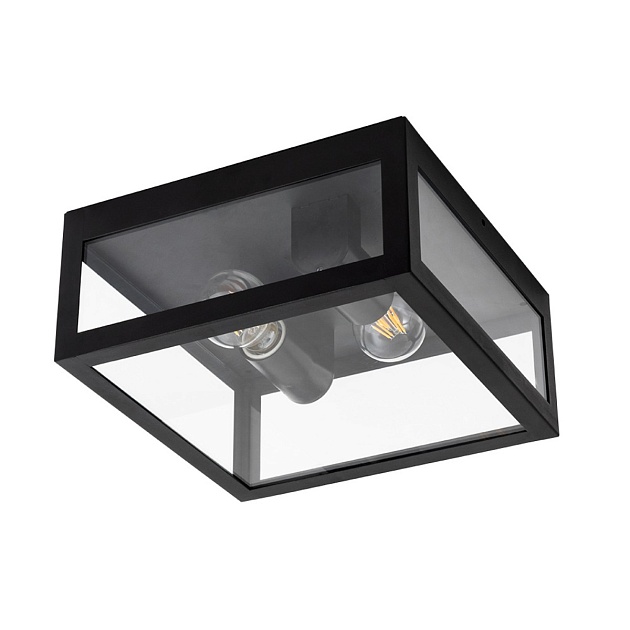 Уличный потолочный светильник Arte Lamp BELFAST A4569PF-2BK Фото № 1