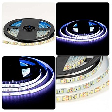 Светодиодная лента OGM 9,6W/m 120LED/m 2835SMD холодный белый 5M LSE-261 1