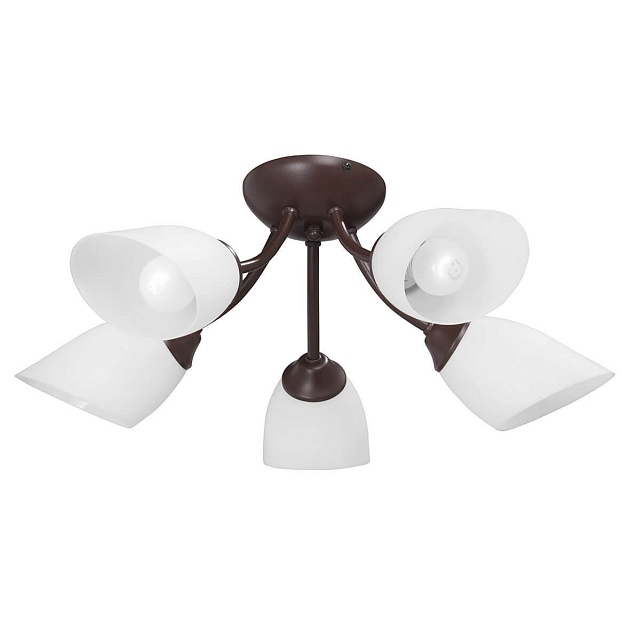 Потолочная люстра Vitaluce V3404/5PL изображение 1 Потолочная люстра Vitaluce V3404/5PL Фото № 1