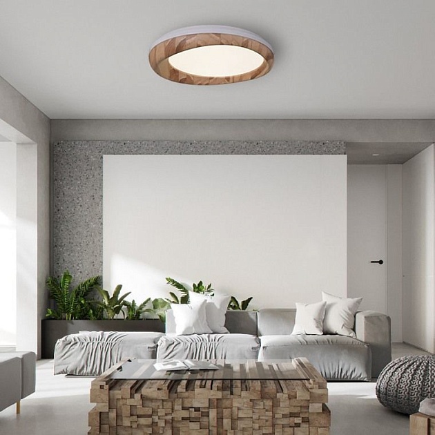 Потолочный светодиодный светильник Imperium Loft Runis 219474-26 Фото № 5