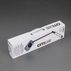 Настольная лампа Citilux Ньютон CL803052 1