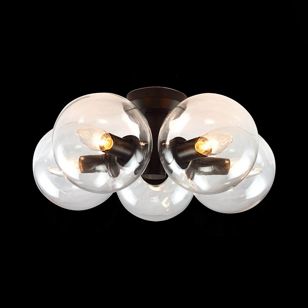 Потолочная люстра Evoluce Rosello SL424.402.05 Фото № 2