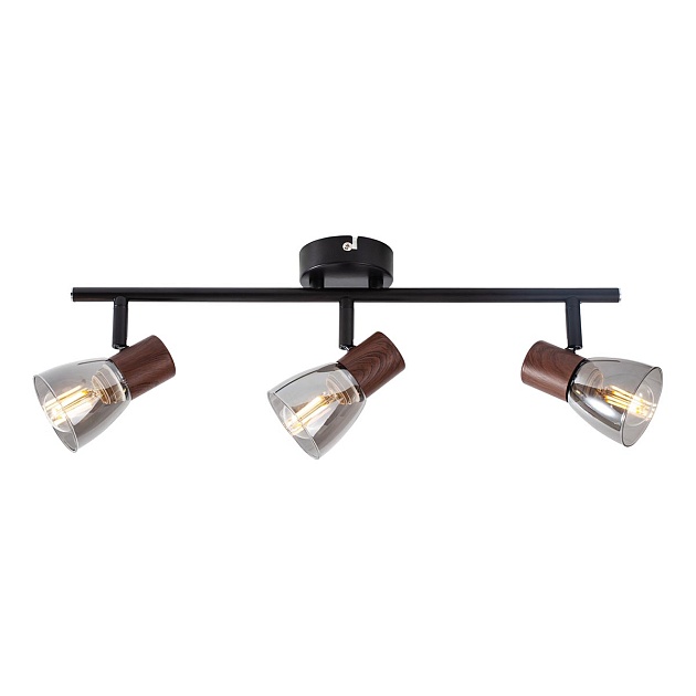 Спот Toplight Lavinia TL1233Y-03BB изображение 1 Спот Toplight Lavinia TL1233Y-03BB Фото № 1