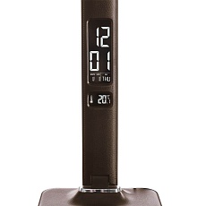 Настольная лампа Arte Lamp Coach A1307LT-1BR 1