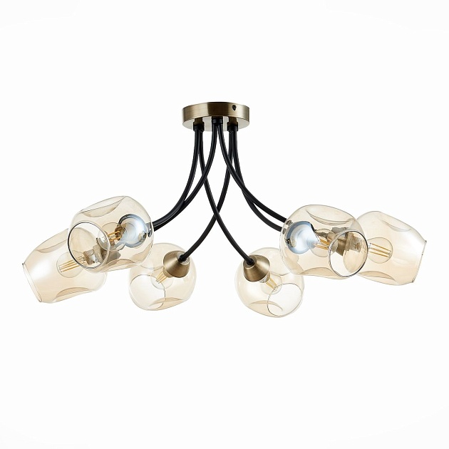 Потолочная люстра Evoluce Besano SLE205302-06 изображение 1 Потолочная люстра Evoluce Besano SLE205302-06 Фото № 1