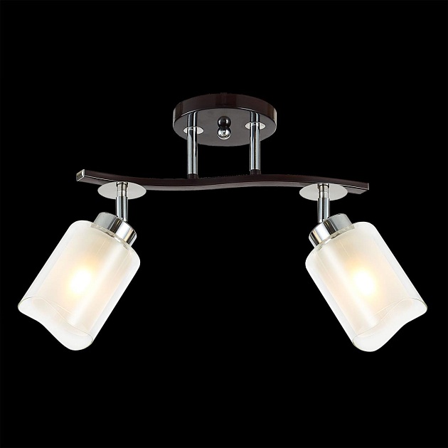 Спот Citilux Фортуна CL156122 изображение 8 Спот Citilux Фортуна CL156122 Фото № 8