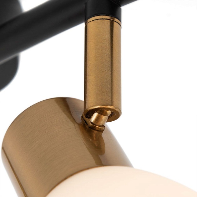 Спот Arte Lamp Falena A3117PL-4BK изображение 2 Спот Arte Lamp Falena A3117PL-4BK Фото № 2