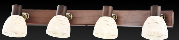 Спот Toplight Shayla TL3730Y-04BB изображение 2 Спот Toplight Shayla TL3730Y-04BB Фото № 2