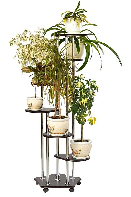 Подставка для цветов Калифорния Шестерочка венге 5508278906 Фото № 2