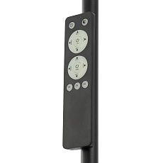 Торшер Citilux Click CL810021 1