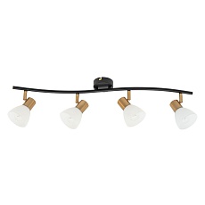 Спот Arte Lamp Falena A3117PL-4BK