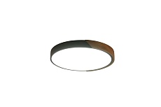 Потолочный светильник Zortes ALBERRO ZRS.01280.36 2