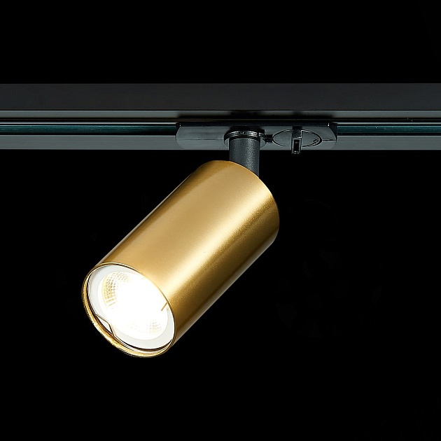 Трековый светильник ST Luce ST300.206.01 изображение 3 Трековый светильник ST Luce ST300.206.01 Фото № 3