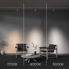 Трековый светодиодный светильник Maytoni Technical Focus Led TR197-3-20WCCT-M-W 3