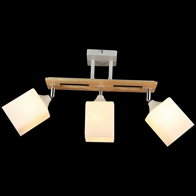 Спот Reluce 04717-0.3-03 изображение 5 Спот Reluce 04717-0.3-03 Фото № 5