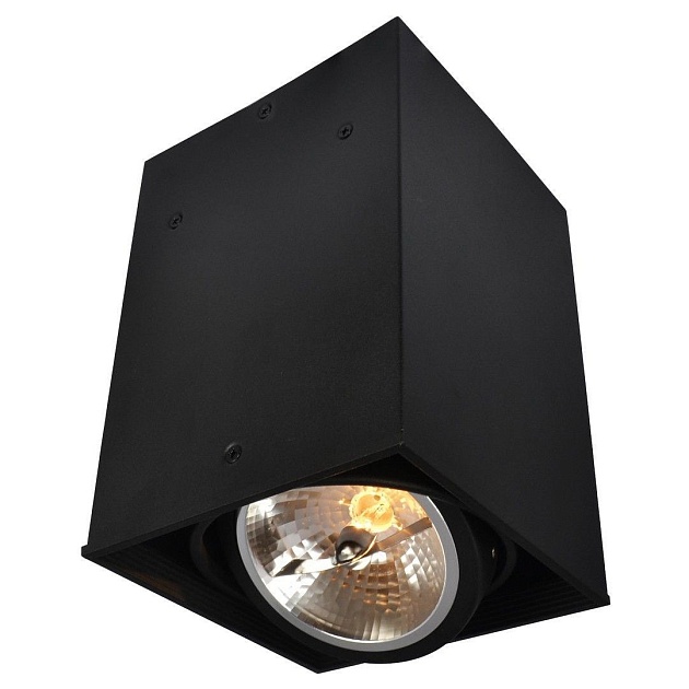 Потолочный светильник Arte Lamp Cardani A5936PL-1BK Фото № 1