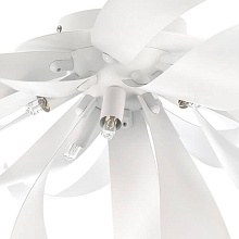 Потолочная люстра Lightstar Turbio 754166 2