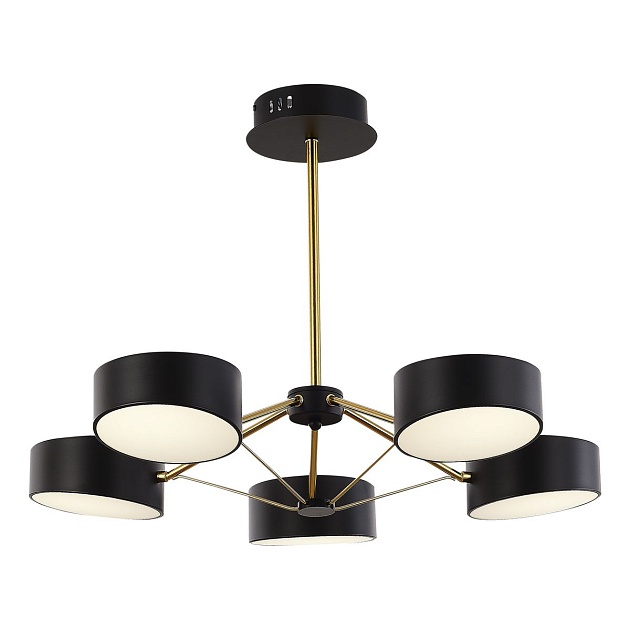 Потолочная светодиодная люстра Evoluce Valle SLE6005-402-05 Фото № 3