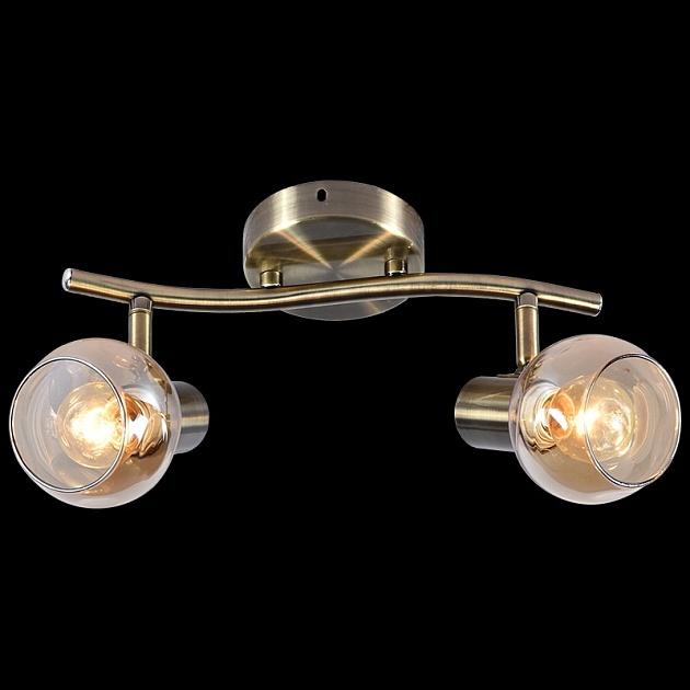 Спот Reluce 05972-0.8-02 AB Фото № 4